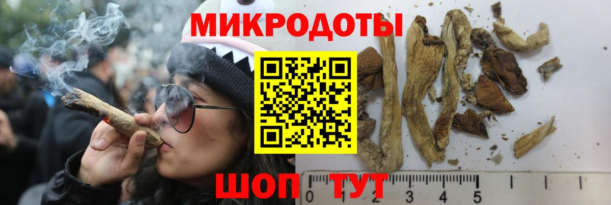 Галлюциногенные грибы Magic Shrooms Мирный